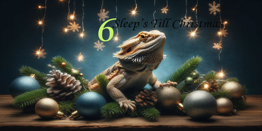 6 Sleeps Till Christmas Bearded Dragon