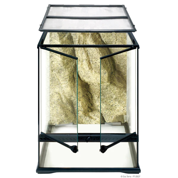 From Tiny to Tremendous: Uncover the Wonders of the Exo Terra Small Tall Terrarium