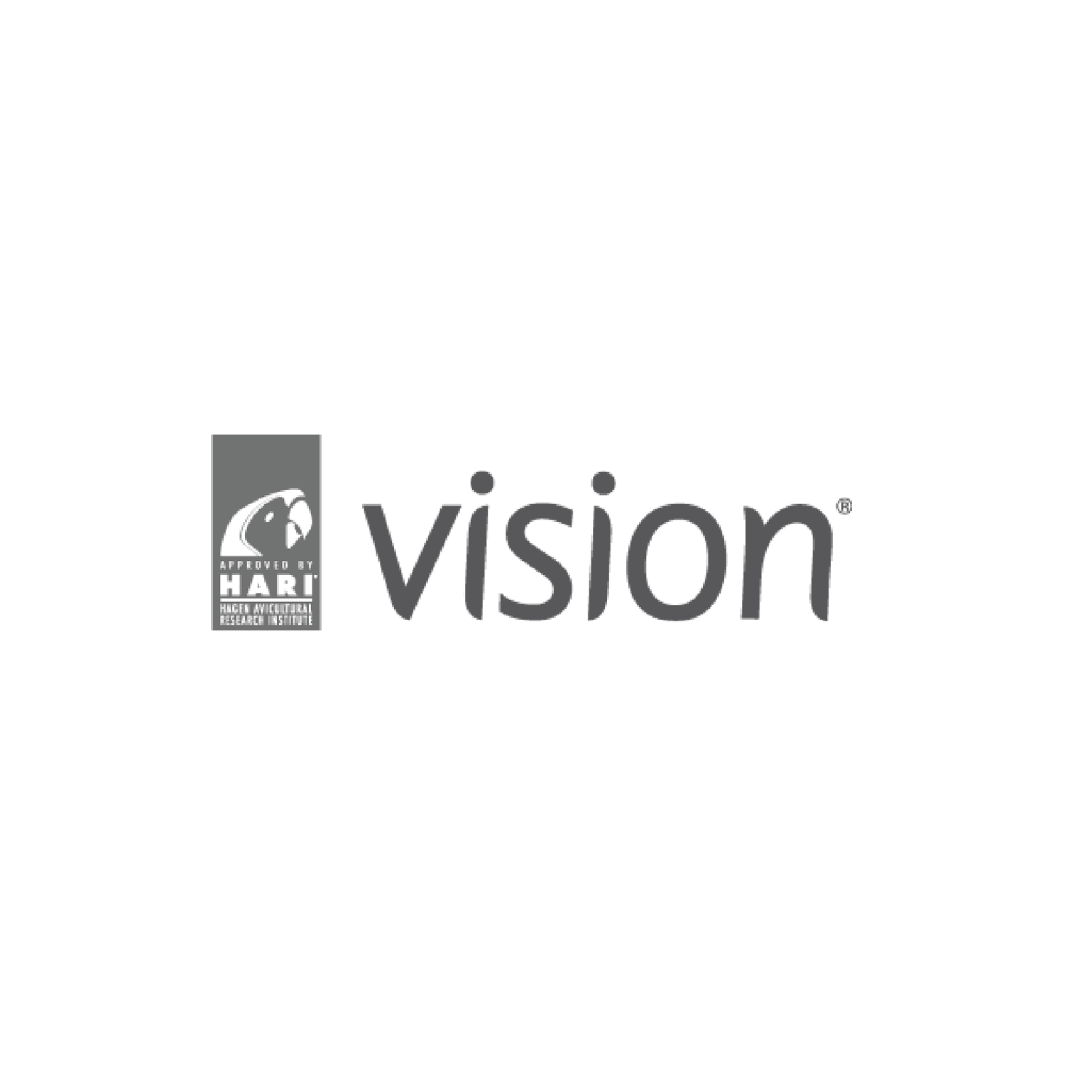 Vision