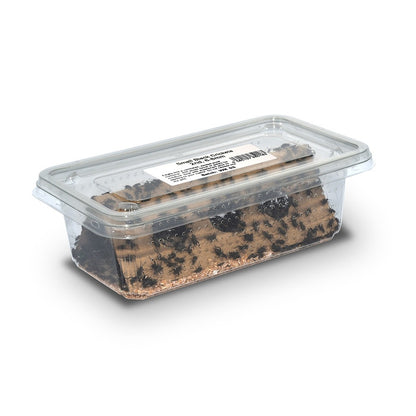 Crickets (BLACK) @ Aquapet