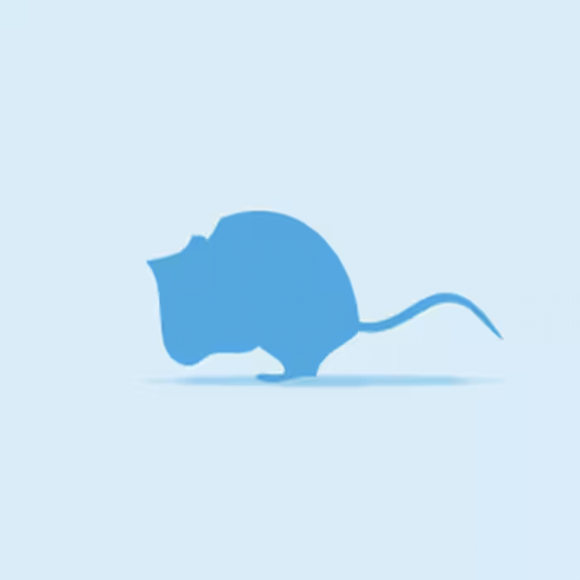 Silhouette of a blue mouse icon on a light blue background, representing frozen mice used as feed for reptiles and birds of prey.