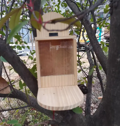 Wooden Squirrel Feeder