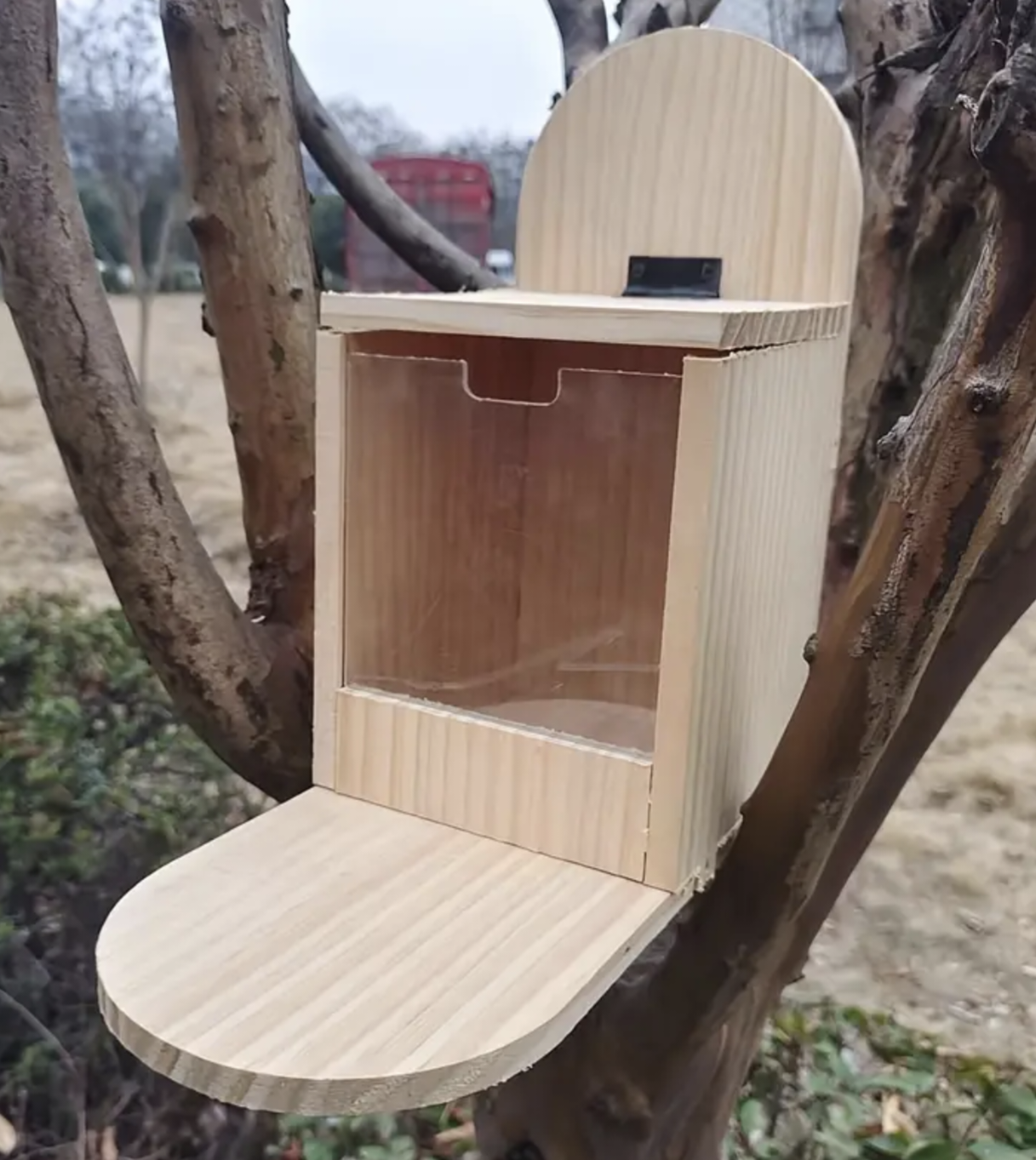 Wooden Squirrel Feeder