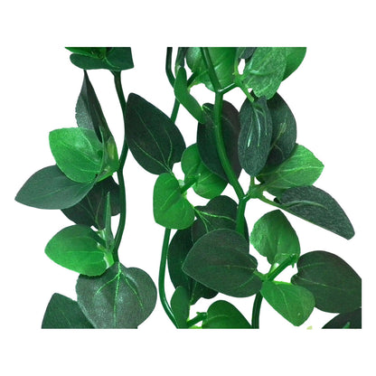 Vivarium Silk Plant Amapallo Medium Bulk Buy x12