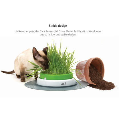 Catit Senses 2.0 Grass Planter