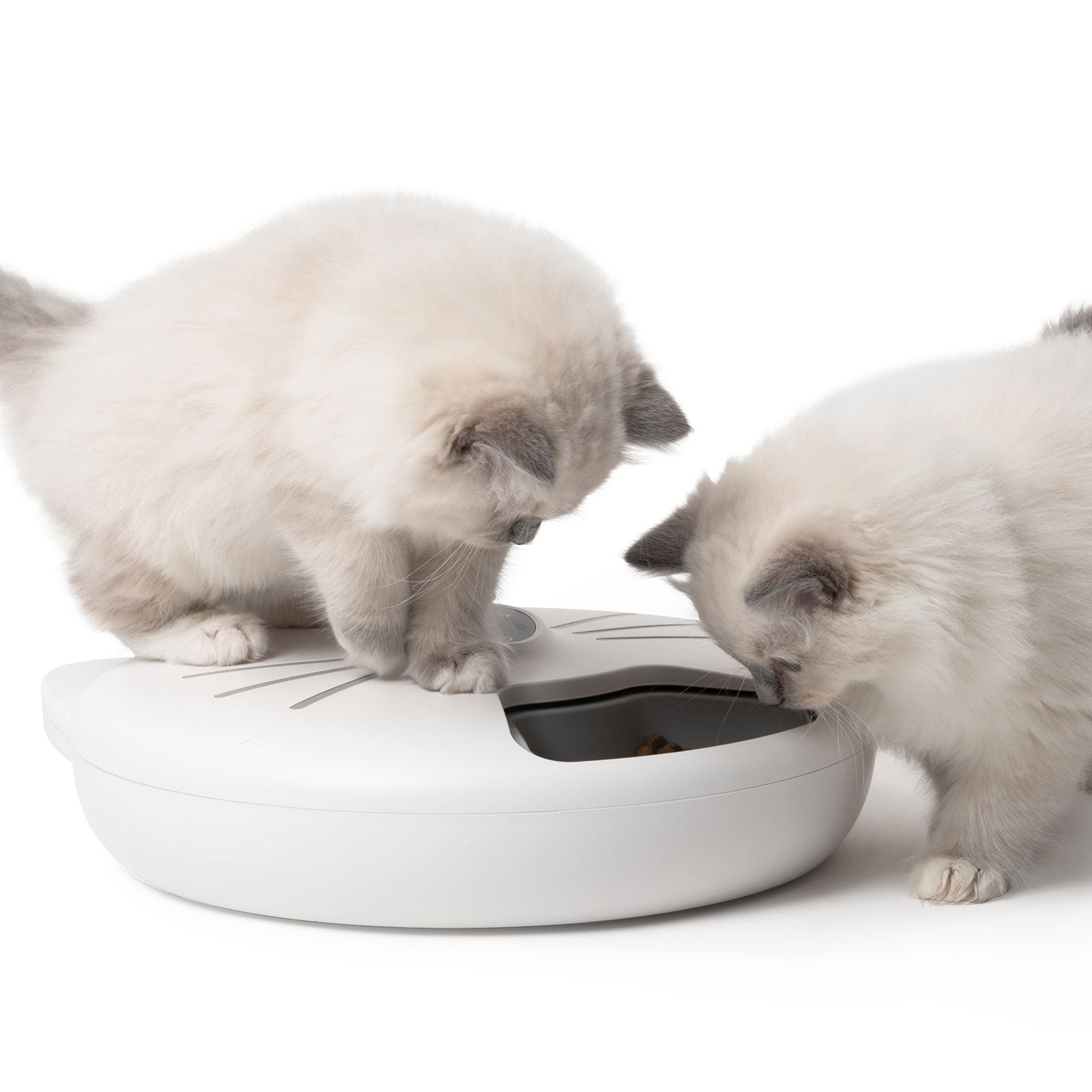 Catit PIXI Smart 6-Meal Feeder