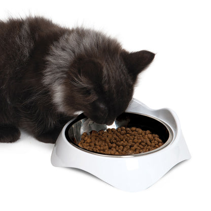 Pixi Feeding Dish - Single