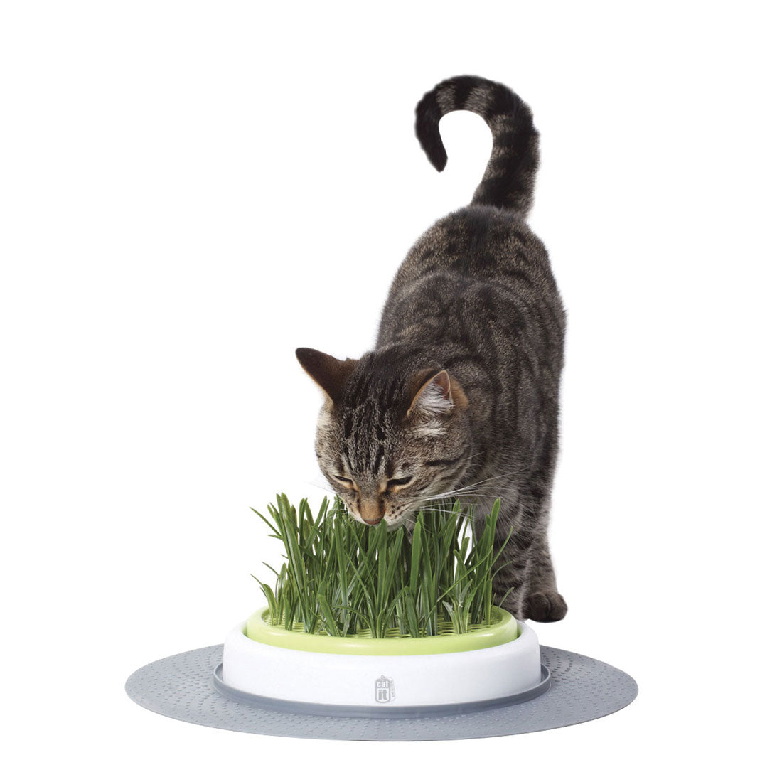 Catit Design Senses Grass Garden Kit