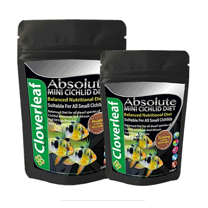 Cloverleaf Absolute Mini Cichlid Diet