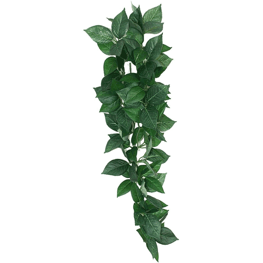 Komodo Sumatra Hanging Vine 40cm