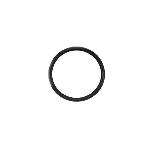 Oase O-Ring (73481)