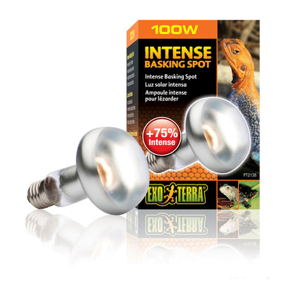 Exo Terra Intense Basking Spot Lamps