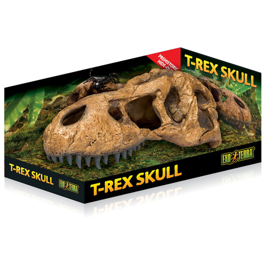 Exo Terra T-Rex Skull Fossil Hide Out