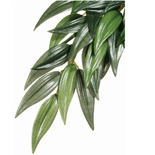 Exo Terra Silk Plant Ruscus