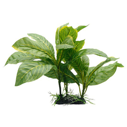 Fluval Yellow Stripe Spathiphyllum ,22cm (9") with Base