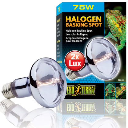 Exo Terra Halogen Basking Spot Light