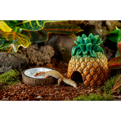 Exo Terra Tiki Coconut Water Dish