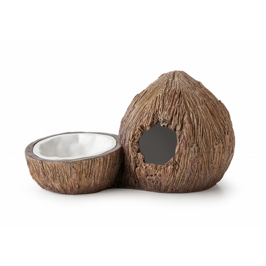 Exo Terra Tiki Coconut Hide and Water Dish